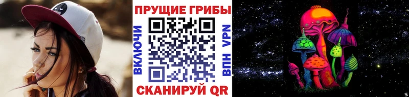 как найти   Орехово-Зуево  Псилоцибиновые грибы Magic Shrooms 